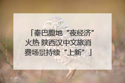 秦巴腹地“夜经济”火热 陕西汉中文旅消费场景持续“上新”