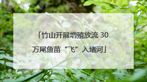 竹山开展增殖放流 30万尾鱼苗“飞”入堵河