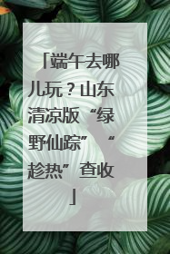端午去哪儿玩？山东清凉版“绿野仙踪”“趁热”查收