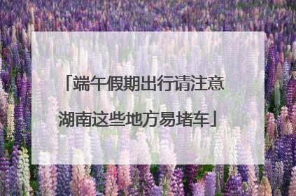 端午假期出行请注意 湖南这些地方易堵车