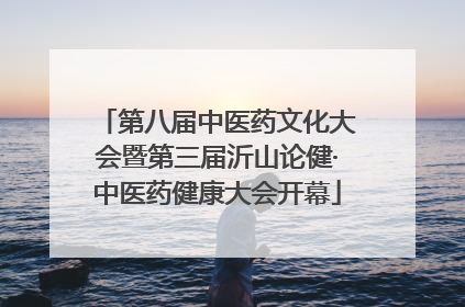 第八届中医药文化大会暨第三届沂山论健·中医药健康大会开幕