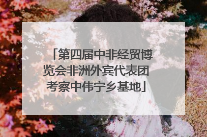 第四届中非经贸博览会非洲外宾代表团考察中伟宁乡基地