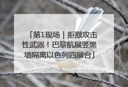 第1现场｜拒撤攻击性武器！巴黎航展竖黑墙隔离以色列四展台