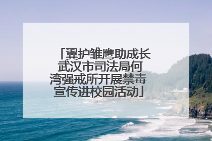 翼护雏鹰助成长 武汉市司法局何湾强戒所开展禁毒宣传进校园活动