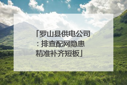 罗山县供电公司：排查配网隐患 精准补齐短板