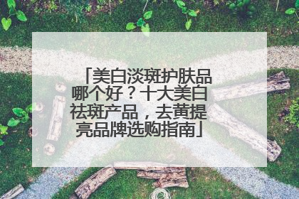 美白淡斑护肤品哪个好？十大美白祛斑产品，去黄提亮品牌选购指南