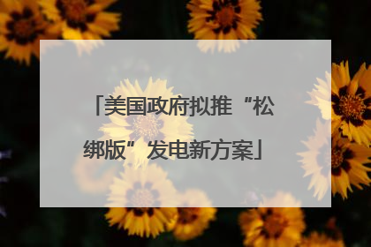 美国政府拟推“松绑版”发电新方案