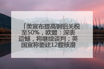 美宣布提高钢铝关税至50%，欧盟：深表遗憾，将继续谈判；英国宣称要建12艘核潜艇；马斯克最新发声：不想为美政府所做的一切承担责任丨早报