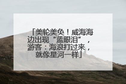 美轮美奂！威海海边出现“蓝眼泪”，游客：海浪打过来，就像星河一样