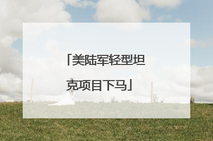美陆军轻型坦克项目下马