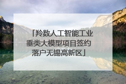 羚数人工智能工业垂类大模型项目签约落户无锡高新区