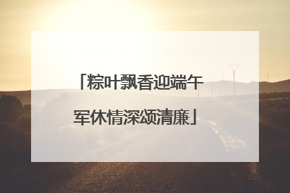 粽叶飘香迎端午 军休情深颂清廉