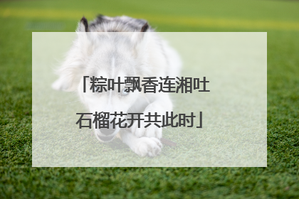 粽叶飘香连湘吐 石榴花开共此时