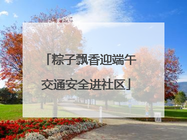 粽子飘香迎端午 交通安全进社区