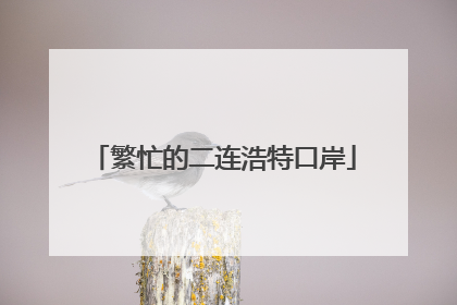 繁忙的二连浩特口岸