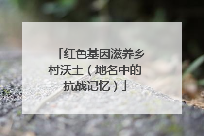 红色基因滋养乡村沃土（地名中的抗战记忆）