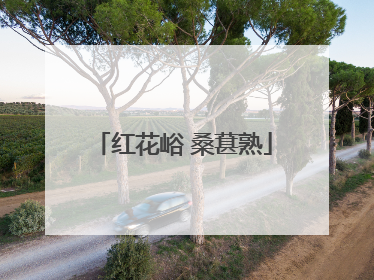 红花峪 桑葚熟