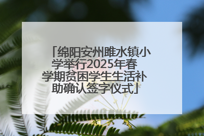 绵阳安州雎水镇小学举行2025年春学期贫困学生生活补助确认签字仪式