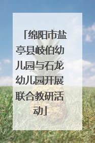 绵阳市盐亭县岐伯幼儿园与石龙幼儿园开展联合教研活动