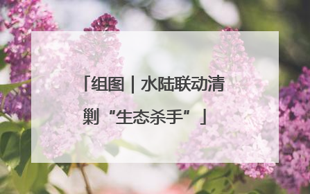 组图｜水陆联动清剿“生态杀手”
