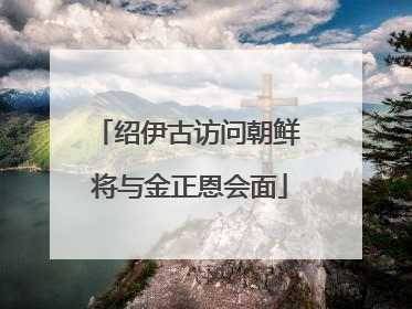 绍伊古访问朝鲜 将与金正恩会面