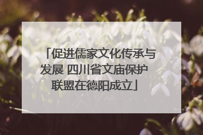 促进儒家文化传承与发展 四川省文庙保护联盟在德阳成立
