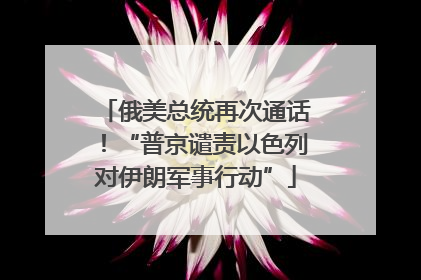 俄美总统再次通话！“普京谴责以色列对伊朗军事行动”