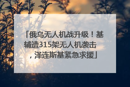 俄乌无人机战升级！基辅遭315架无人机袭击，泽连斯基紧急求援