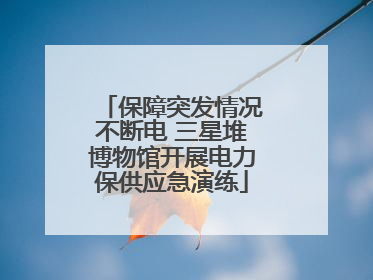 保障突发情况不断电 三星堆博物馆开展电力保供应急演练