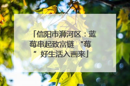 信阳市浉河区：蓝莓串起致富链 “莓”好生活入画来