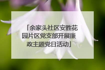 余家头社区安胜花园片区党支部开展廉政主题党日活动