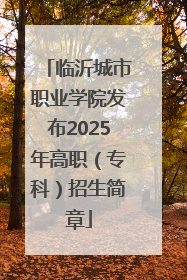 临沂城市职业学院发布2025年高职（专科）招生简章