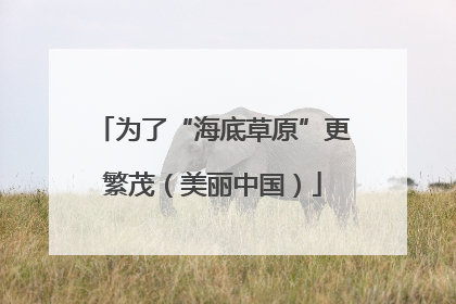 为了“海底草原”更繁茂（美丽中国）