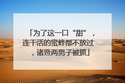 为了这一口“甜”，连干活的蜜蜂都不放过，诸暨两男子被抓