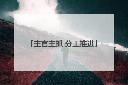 主官主抓 分工推进