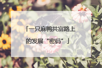 一只麻鸭共富路上的发展“密码”