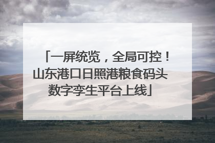 一屏统览，全局可控！山东港口日照港粮食码头数字孪生平台上线