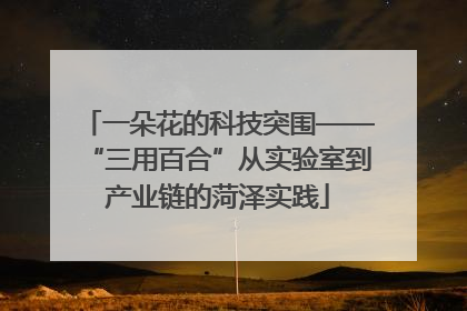 一朵花的科技突围——“三用百合”从实验室到产业链的菏泽实践