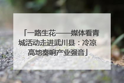 一路生花——媒体看青城活动走进武川县：冷凉高地奏响产业强音