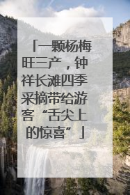一颗杨梅旺三产，钟祥长滩四季采摘带给游客“舌尖上的惊喜”