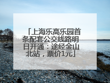 上海乐高乐园首条配套公交线路明日开通：途经金山北站，票价1元