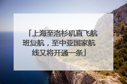 上海至洛杉矶直飞航班复航，至中亚国家航线又将开通一条