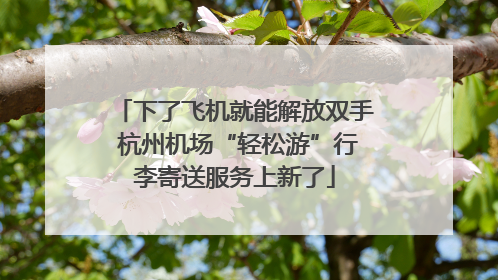 下了飞机就能解放双手 杭州机场“轻松游”行李寄送服务上新了