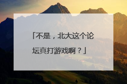 不是，北大这个论坛真打游戏啊？