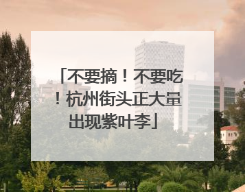 不要摘！不要吃！杭州街头正大量出现紫叶李