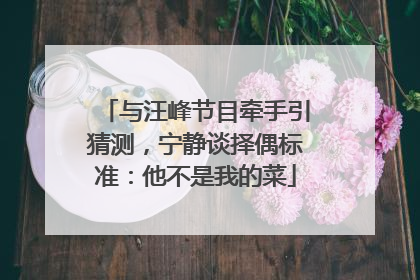 与汪峰节目牵手引猜测，宁静谈择偶标准：他不是我的菜