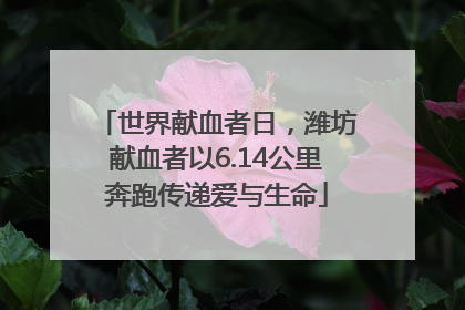 世界献血者日，潍坊献血者以6.14公里奔跑传递爱与生命