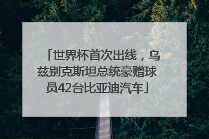 世界杯首次出线，乌兹别克斯坦总统豪赠球员42台比亚迪汽车