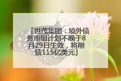 世茂集团：境外债务重组计划不晚于8月29日生效，将削债115亿美元