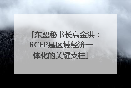 东盟秘书长高金洪：RCEP是区域经济一体化的关键支柱